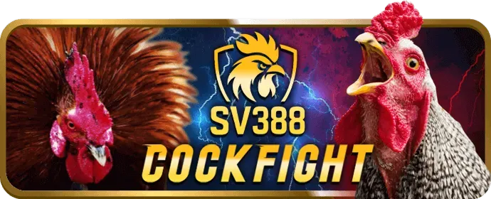 Hướng dẫn và hỗ trợ khách hàng s26bet login